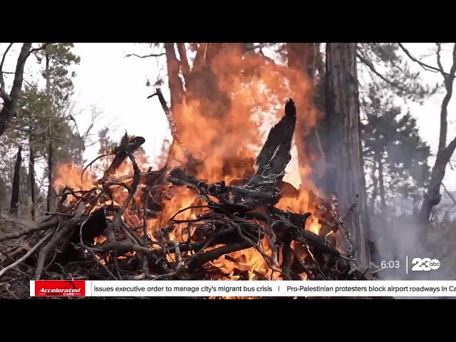 PILE BURNING PKG