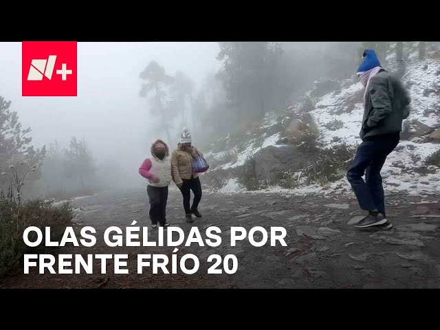 Frente Frío 20: Cumbres en México se pintan de blanco por ola gélida en México - En Punto