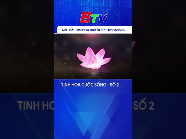 Tinh hoa cuộc sống - số 2