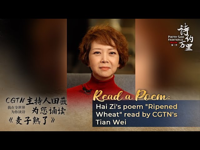 Read a Poem: Hai Zi's 'Ripened Wheat' read by CGTN's Tian Wei