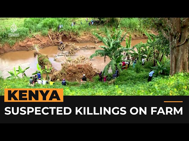 Suspected killings on Del Monte pineapple farm in Kenya | Al Jazeera Newsfeed