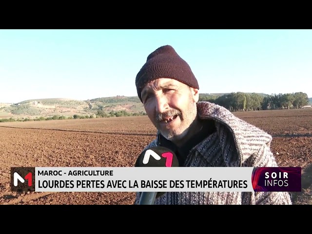 Agriculture : lourdes pertes avec la baisse des températures