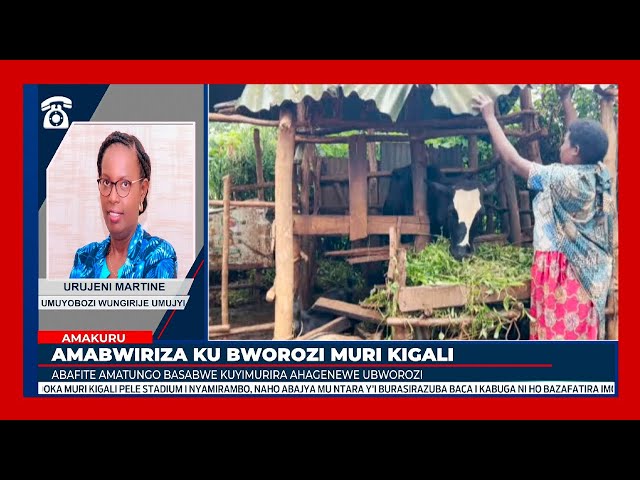 ⁣Kigali: Abafite amatungo mu ngo basabwe kuyimurira ahagenewe ubworozi