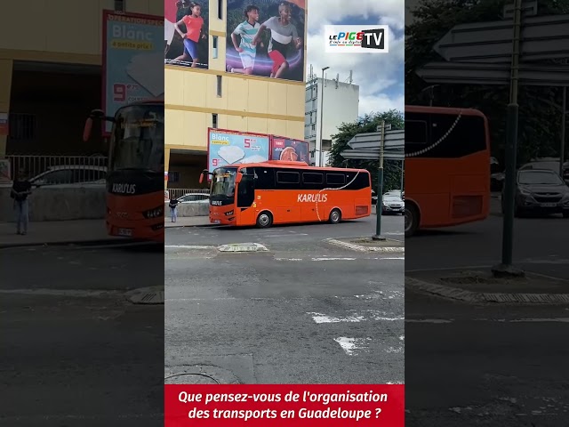 Que pensez-vous de l'organisation des transport en Guadeloupe ?