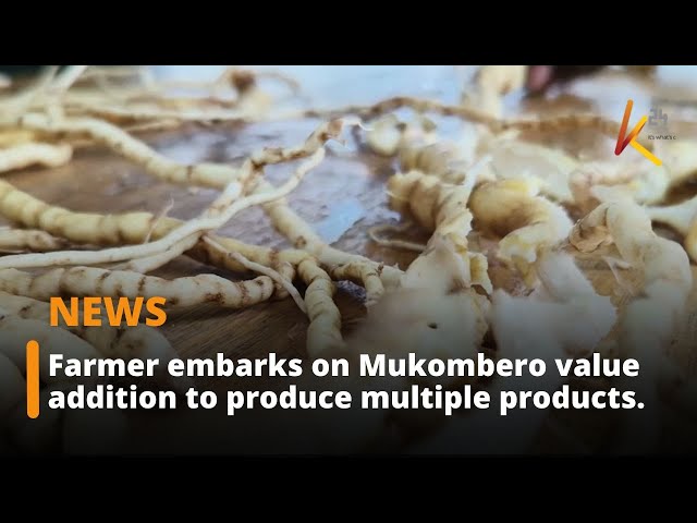 Farmer embarks on Mukombero value addition to produce multiple products.