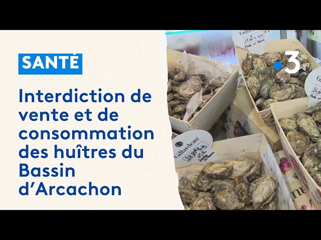 Interdiction de vente et de consommation des huîtres du Bassin d'Arcachon