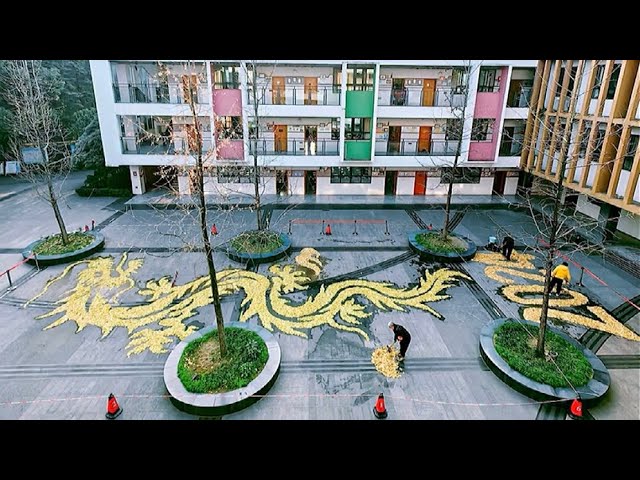 Chinese headmaster transforms ginkgo leaves into stunning golden dragon masterpiece