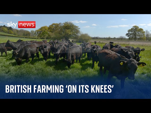 UK farming 'on its knees' as supermarkets are urged to show fairness