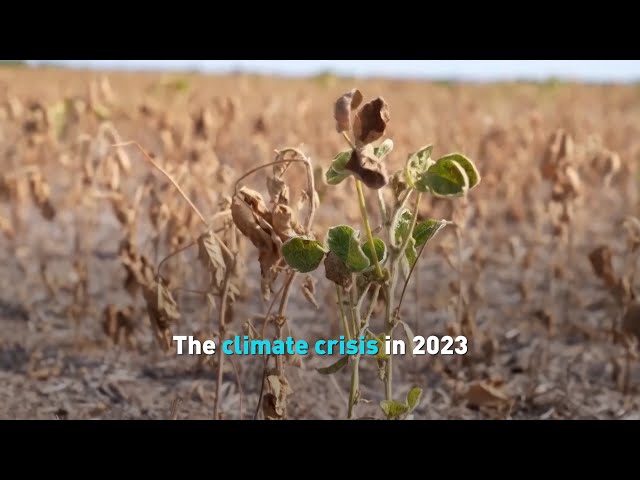 The climate crisis in 2023