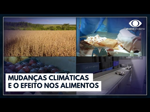 Mudanças climáticas causam prejuízos bilionários e insegurança alimentar no mundo | Band em Alta