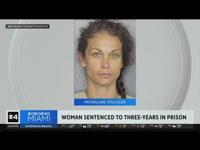 Broward County cat hoarder sentenced to three-year prison term for animal abuse