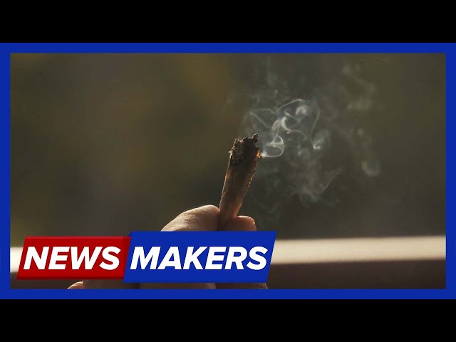 Doctor’s Marijuana Warning | Newsmakers - November 9, 2023