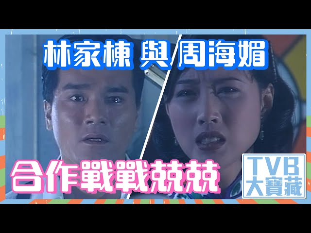 TVB大寶藏｜林家棟與周海媚合作戰戰兢兢 #周海媚 #林家棟