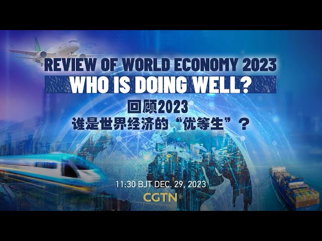 Watch: Review of the world economy in 2023 – who is doing well?