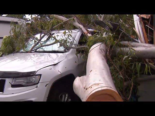 Cleanup begins on Gold Coast after storms