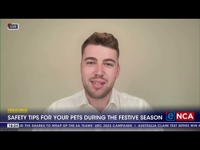 Safety tips for your pets during the festive season