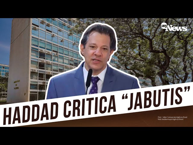 “COISA MAIS DIFÍCIL É TIRAR ELE DA ÁRVORE”, diz Haddad, ao anunciar novas medidas de arrecadação