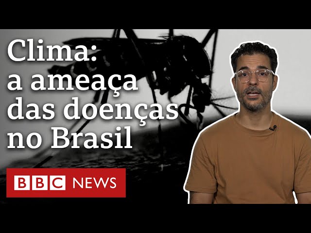 Aquecimento global: as doenças que podem aumentar no Brasil com as mudanças climáticas