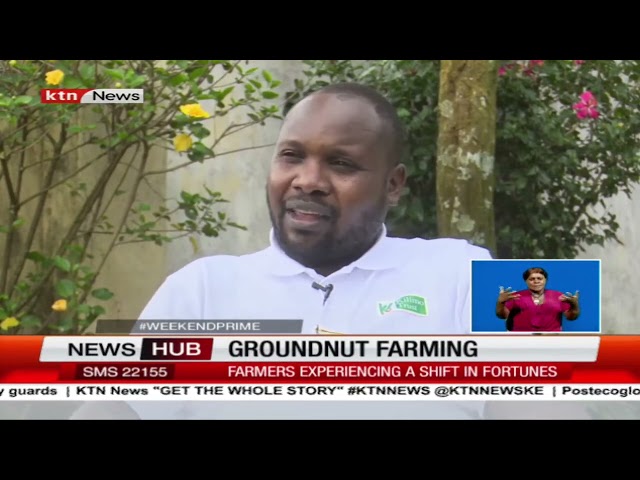 Groundnut Farming Training Signals a Change in Fortune for Farmers in Meru