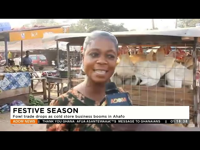 Festive Season: Fowl trade drops as cold store business booms in Ahafo – Dwadie - Adom TV (29-12-23)