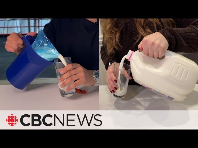 Bag or jug? Why milk is sold differently across Canada