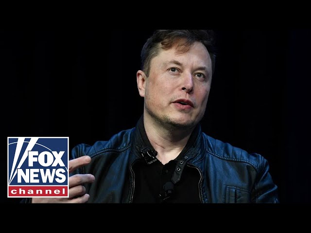 Elon Musk: DEI must DIE