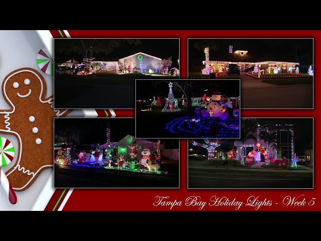 Tampa Bay Area Holiday Lights: Week 5