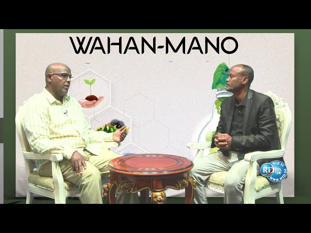 WAHAN-MANO 29/12/2023