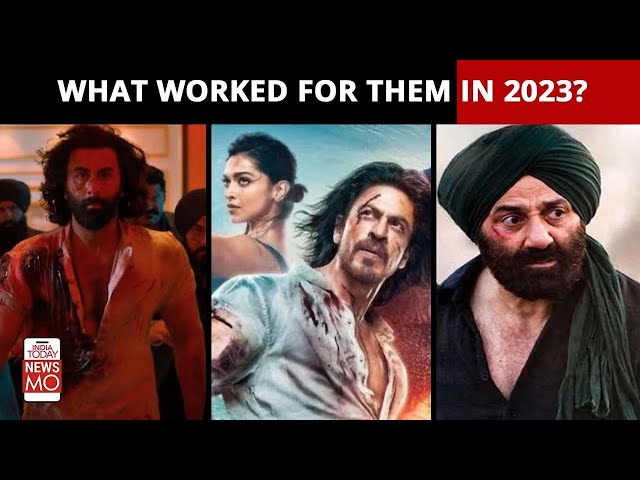 What went right for Hindi Cinema in 2023? Cinema Year-Ender 2023