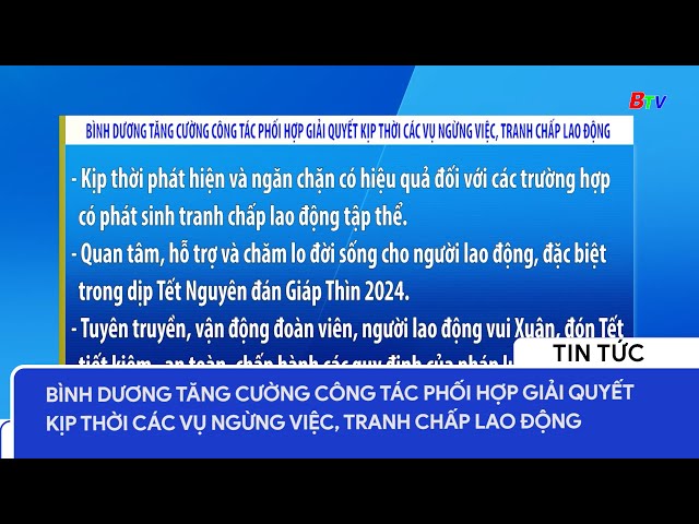 Bình Dương tăng cường công tác phối hợp giải quyết kịp thời các vụ ngừng việc, tranh chấp lao động