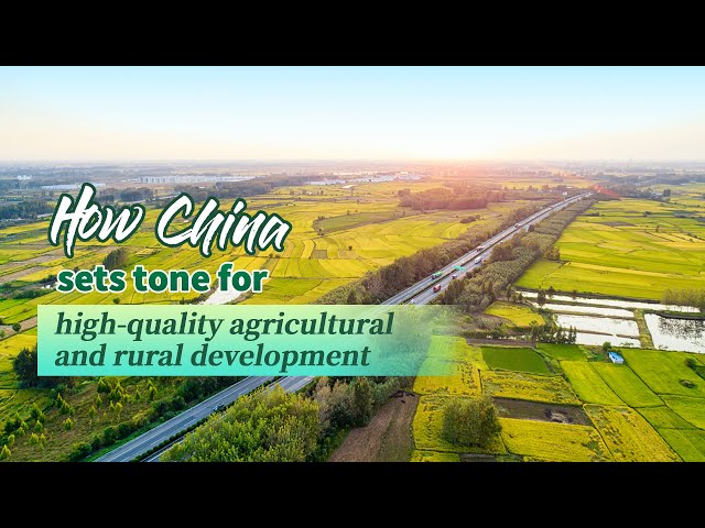 How China sets tone for high-quality agricultural, rural development