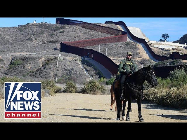 Ex-ICE official sounds alarm on ‘Trojan horse’ threat to US national security
