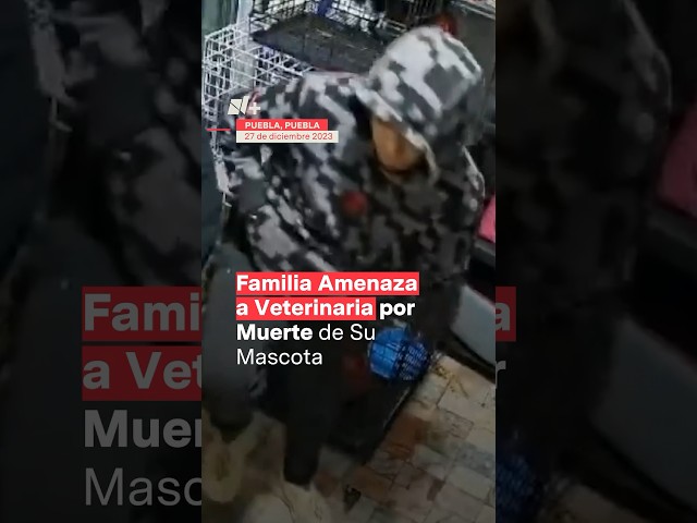 Familia amenaza a veterinaria por muerte de mascota - N+ #mexico #perros #veterinaria #nmas #shorts