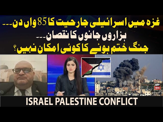 Israel-Palestine Conflict - Latest Updates - Deputy Head of Mission Palestine's Reaction