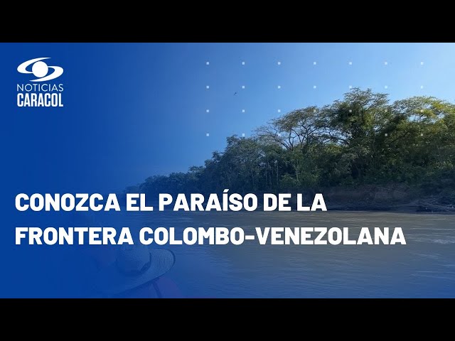 Paseo por el río Arauca: paraíso de delfines en la frontera colombo-venezolana