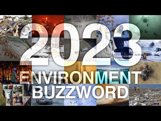 2023 in review: Top environmental issues