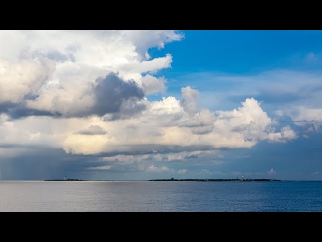 Live: Vibrant marine life of Yongxing Island in southern China