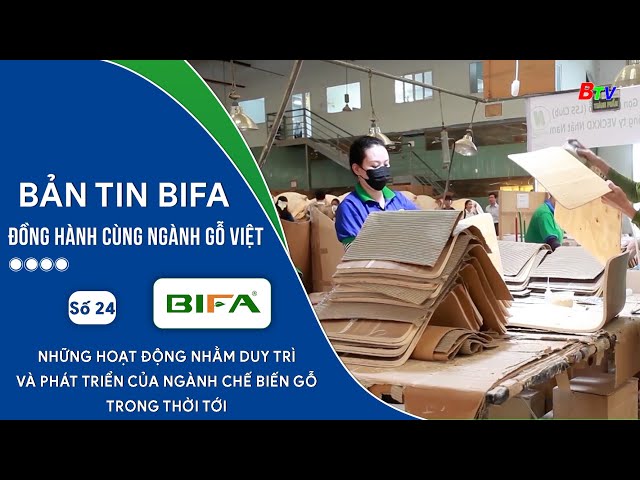 Bản tin BIFA - Đồng hành cùng ngành gỗ Việt | Số 24