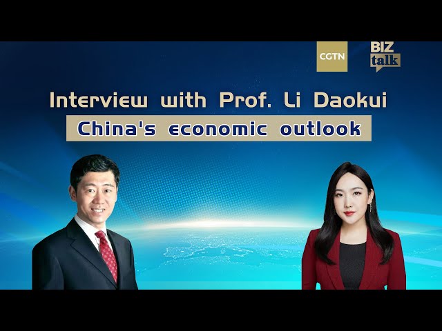 Interview with Professor Li Daokui on China's economic outlook