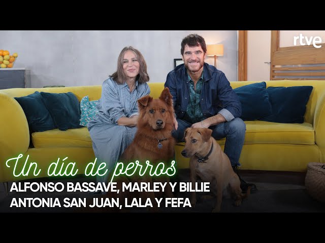 Antonia San Juan y Alfonso Bassave | #5 | Un día de perros con Dani Rovira