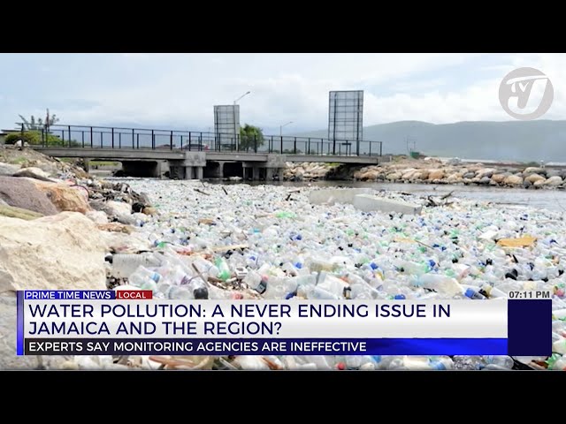 Water Pollution: A Never Ending Issue in Jamaica and the Region | TVJ News