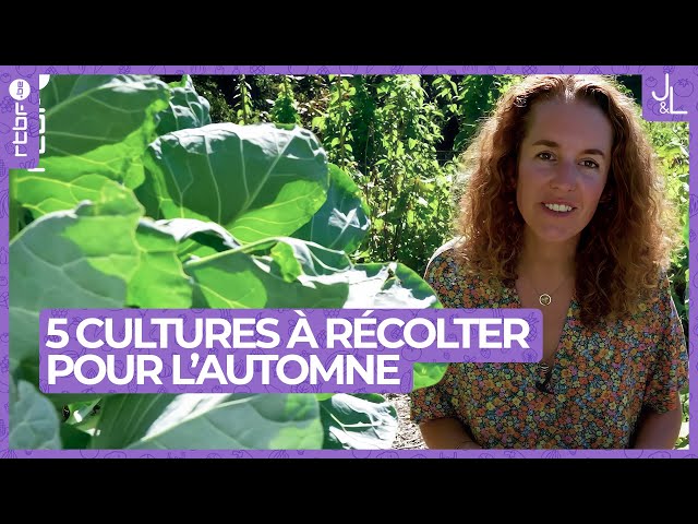 5 cultures incontournables à récolter durant l'automne | Jardins et Loisirs