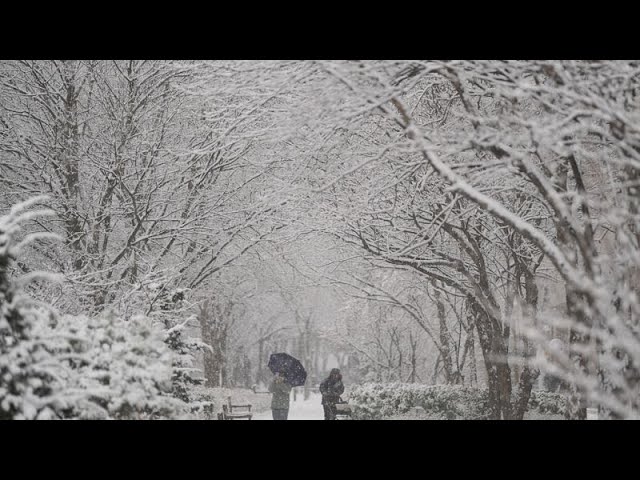 La mayor nevada en Seúl en un único día de diciembre en 40 años