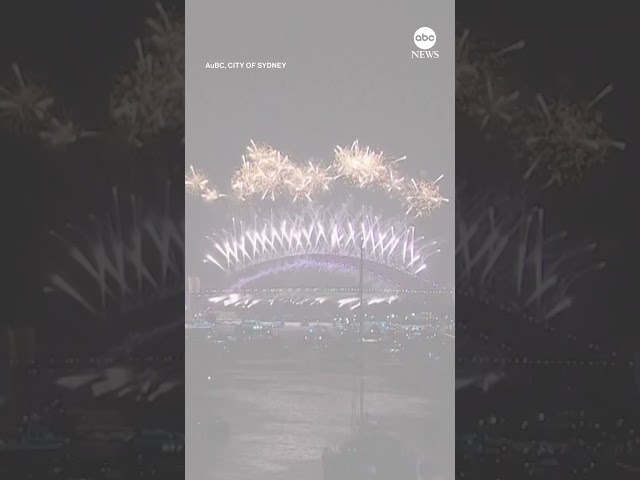 Sydney celebrates New Year with fireworks