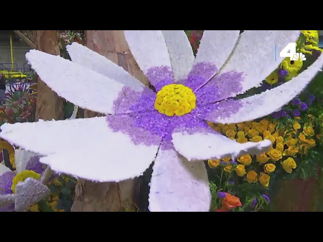 Volunteers add the finishing touches to Rose Parade floats