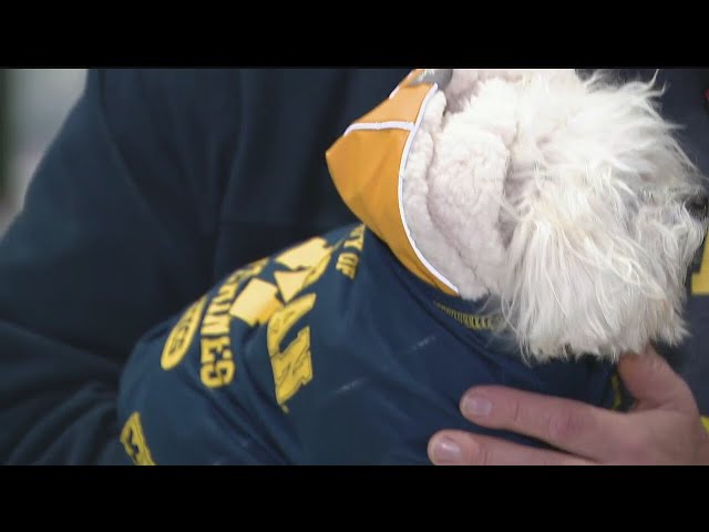 Michigan Fans at the Airport