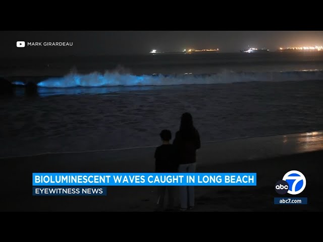 Beachgoers encounter bioluminescent waves in Long Beach