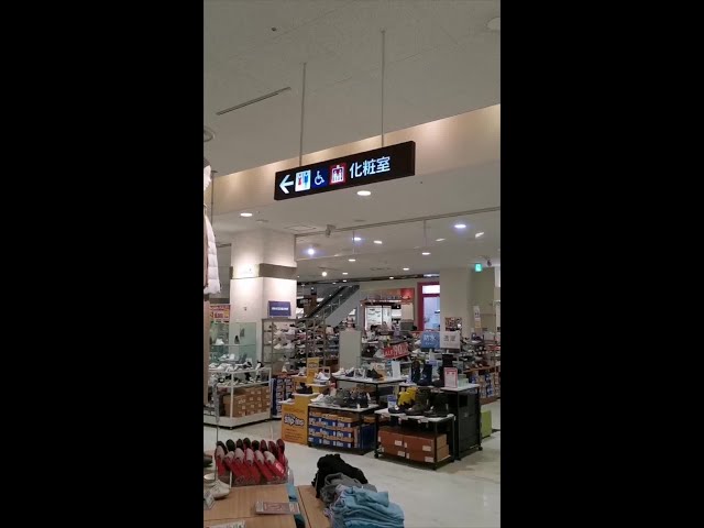 Video captures moment earthquake strikes Japan