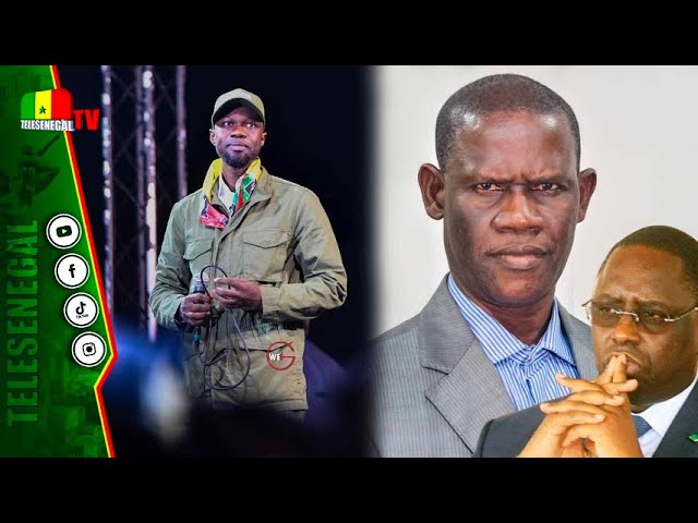 Fin du Gatsa-Gatsa? La réponse cash de Birame Khoudia Lo de Pastef "sénégalais yi beug niou...&