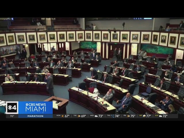 These new Florida laws take effect on January 1, 2024